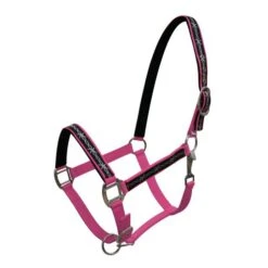 Neoprene Halter With Barbwire Design -Horseway Store 15826pink 0aff58cd f32a 4f2a ad09 eb60bed1c4e4