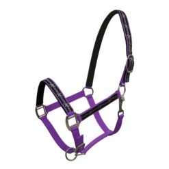 Neoprene Halter With Barbwire Design -Horseway Store 15826purp 89e30f17 05d1 4e20 a469 8fe5bef7a889