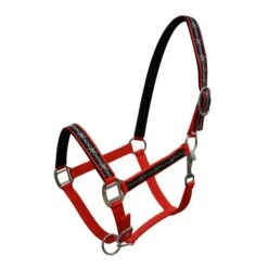 Neoprene Halter With Barbwire Design -Horseway Store 15826red 3fd4642d 424f 4b51 953d d08137742408