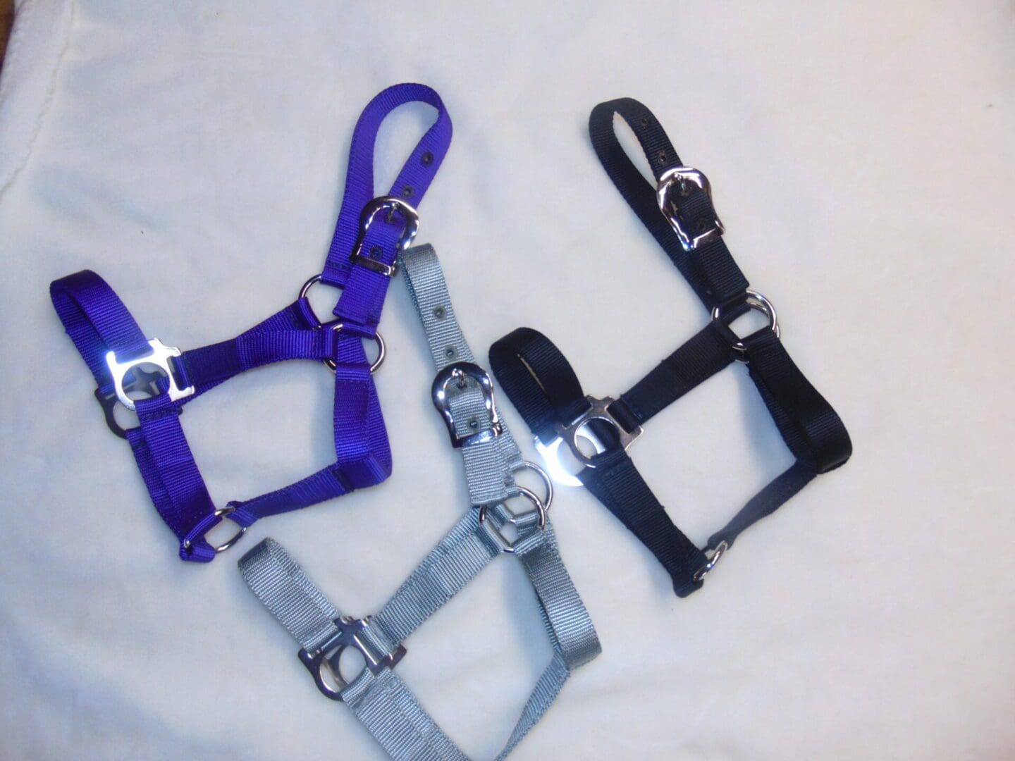 Horseway Store -Horseway Store 2 ply halters 1 scaled 1