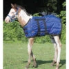 Weaver Leather Weaver Blue Foal Blanket -Horseway Store 35 1509 bl fixed