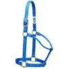 Weaver Leather Blue Non Adjustable 1" Halter -Horseway Store 357004FB