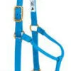 Weaver Leather Non-Adjustable Halter , 1" - Hurricane Blue -Horseway Store 61276 xxx 0122345 s