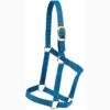 Mustang Blue Yearling Economy Halter 1 Mustang Blue Yearling Economy Halter -Horseway Store 85083 B