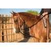Professional's Choice Al Dunning Tack Black Draw Rope Martingale -Horseway Store AD8062HL