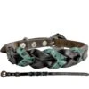 Showman Teal And Dark Oil Dog Collar 1 Showman Teal And Dark Oil Dog Collar -Horseway Store DC 48
