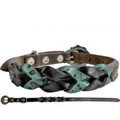 Showman Teal And Dark Oil Dog Collar