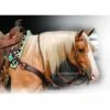 Professional's Choice Single Rein German Martingale -Horseway Store RH GM1