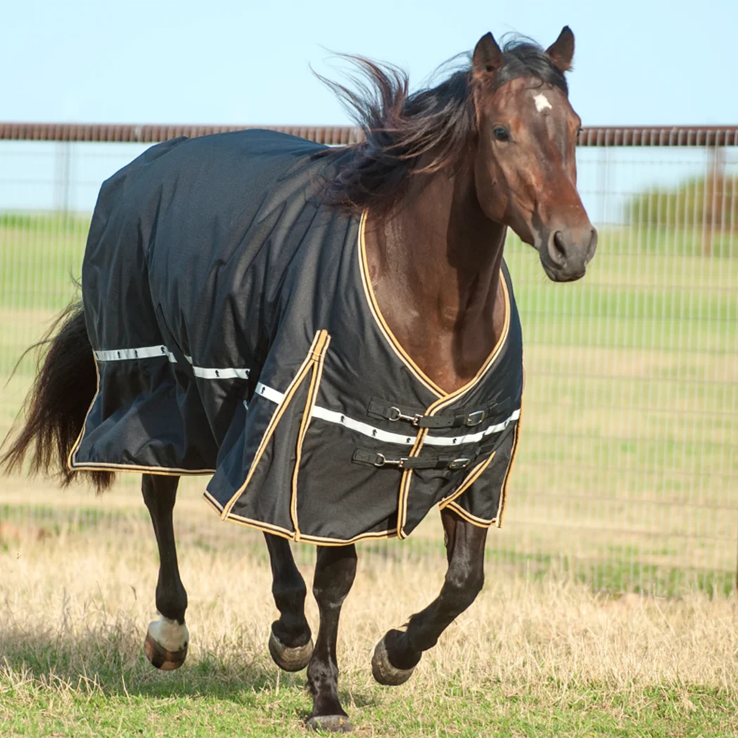 Classic Equine 5K Cross Trainer Horse Blanket - Flint 4 Classic Equine 5K Cross Trainer Horse Blanket - Flint - Image 2