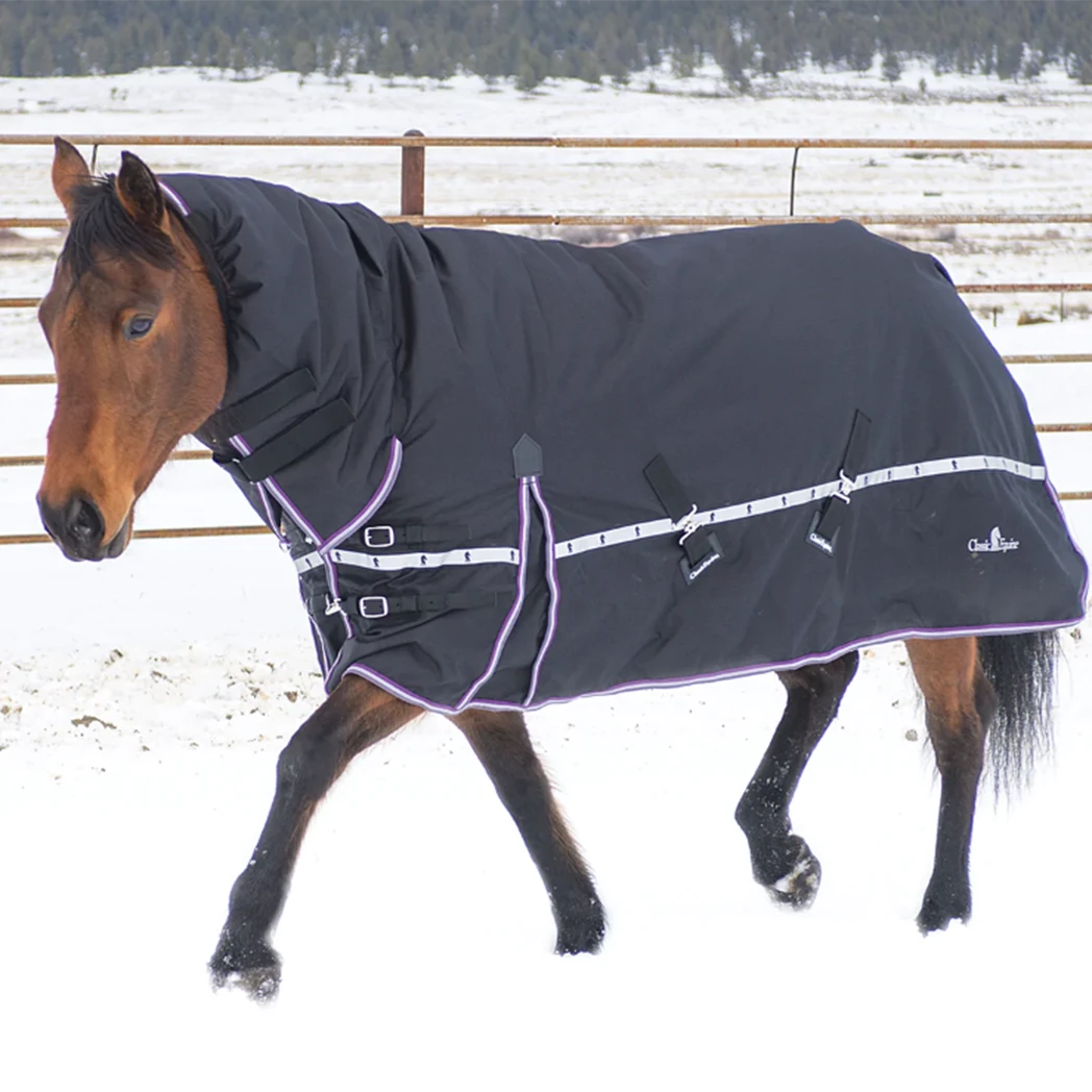 Classic Equine 10K Cross Trainer Winter Hooded Horse Blanket- Slate 4 Classic Equine 10K Cross Trainer Winter Hooded Horse Blanket- Slate - Image 2