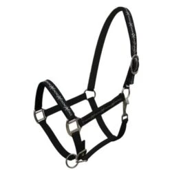 Neoprene Halter With Barbwire Design -Horseway Store Screenshot 2022 05 17 133519Black