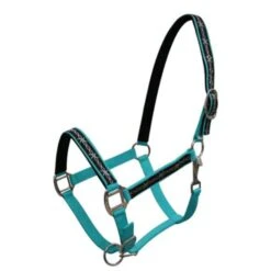 Neoprene Halter With Barbwire Design -Horseway Store Screenshot 2022 05 17 133634Teal2