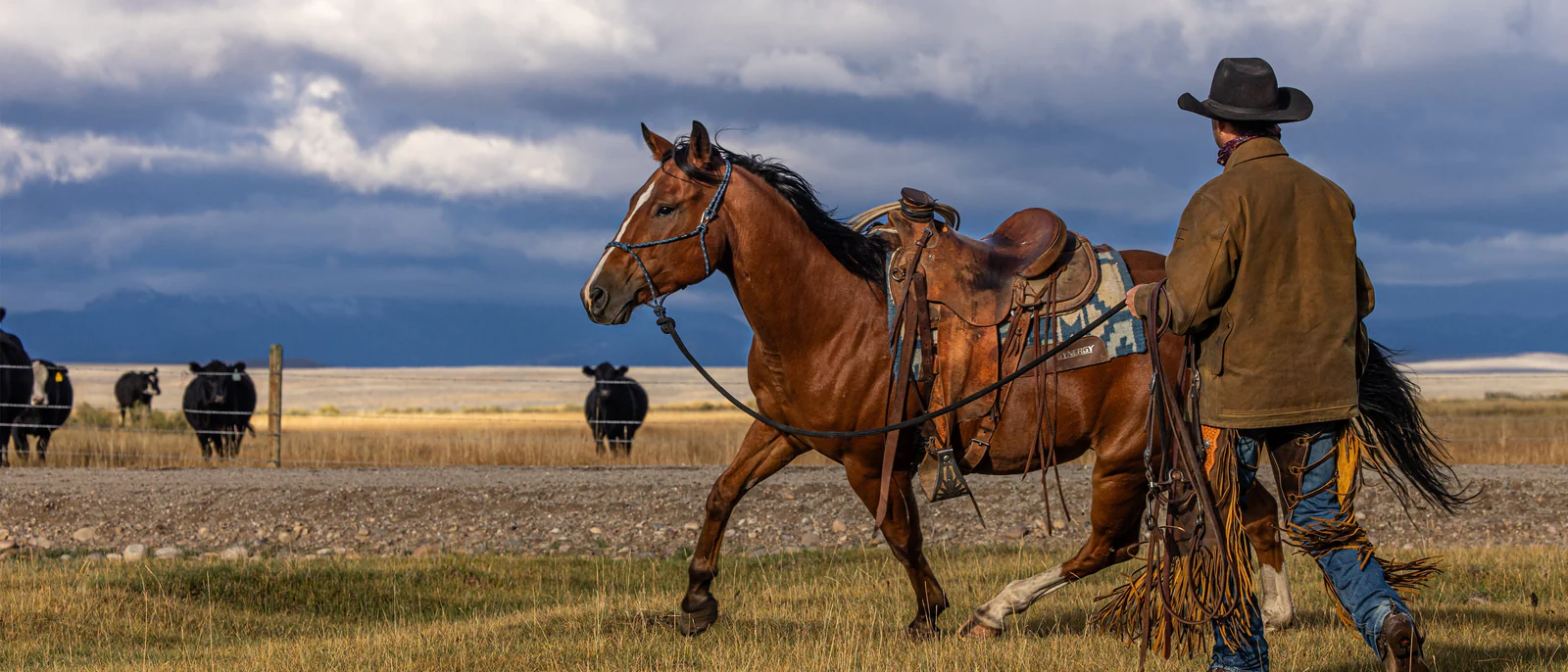 Horseway Store -Horseway Store