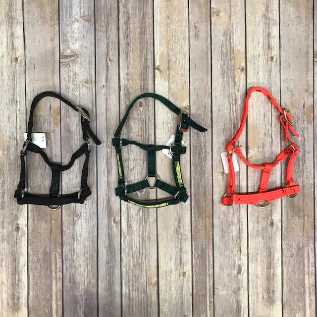 Mini Halter 3 Mini Halter