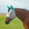 Cashel Mint Fly Mask With Ears 2 Cashel Mint Fly Mask With Ears -Horseway Store cfmhse 20mt