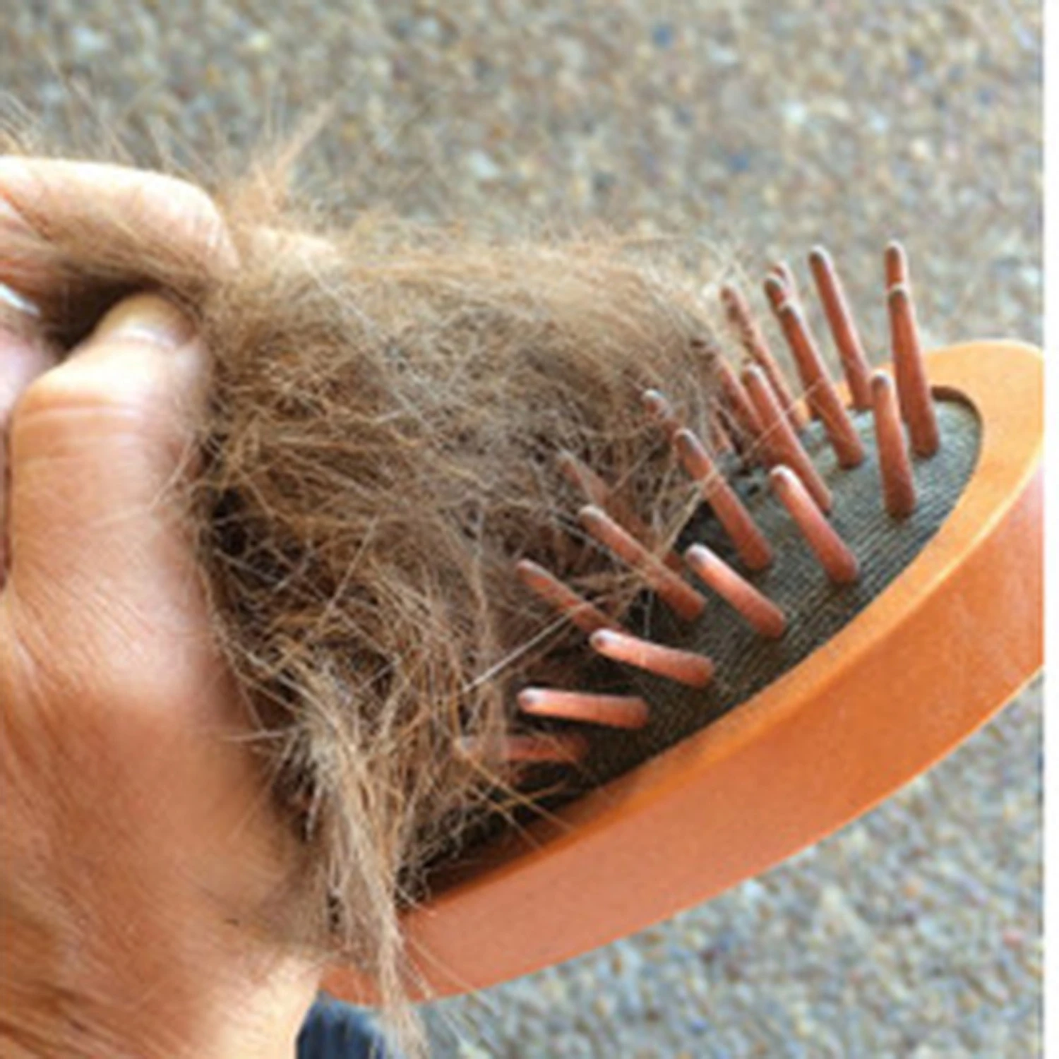 Love Wood Curry Brush 5 Love Wood Curry Brush - Image 3