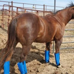 Fly Free Insect Protection Boots - BLUE 6 Fly Free Insect Protection Boots - BLUE -Horseway Store ffbluehorse